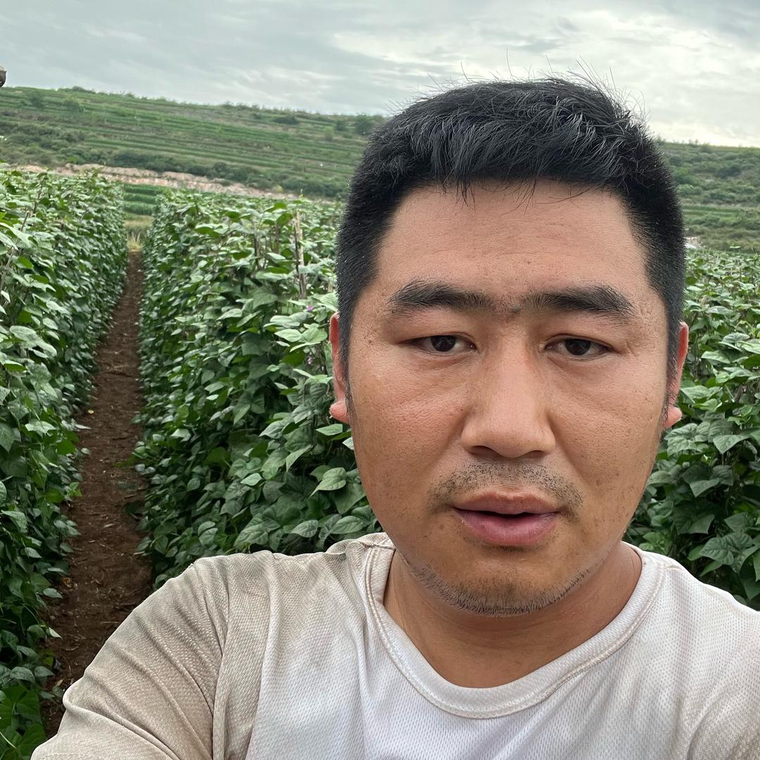 微笑的田野