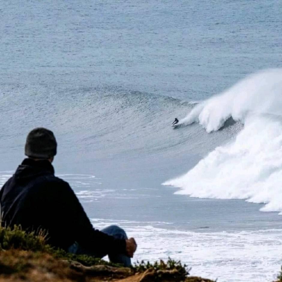 鲸辰-笑神2（流量航母）