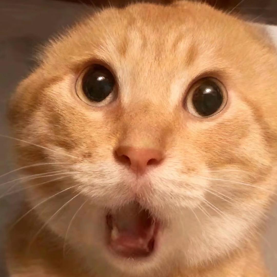 觉觉大王