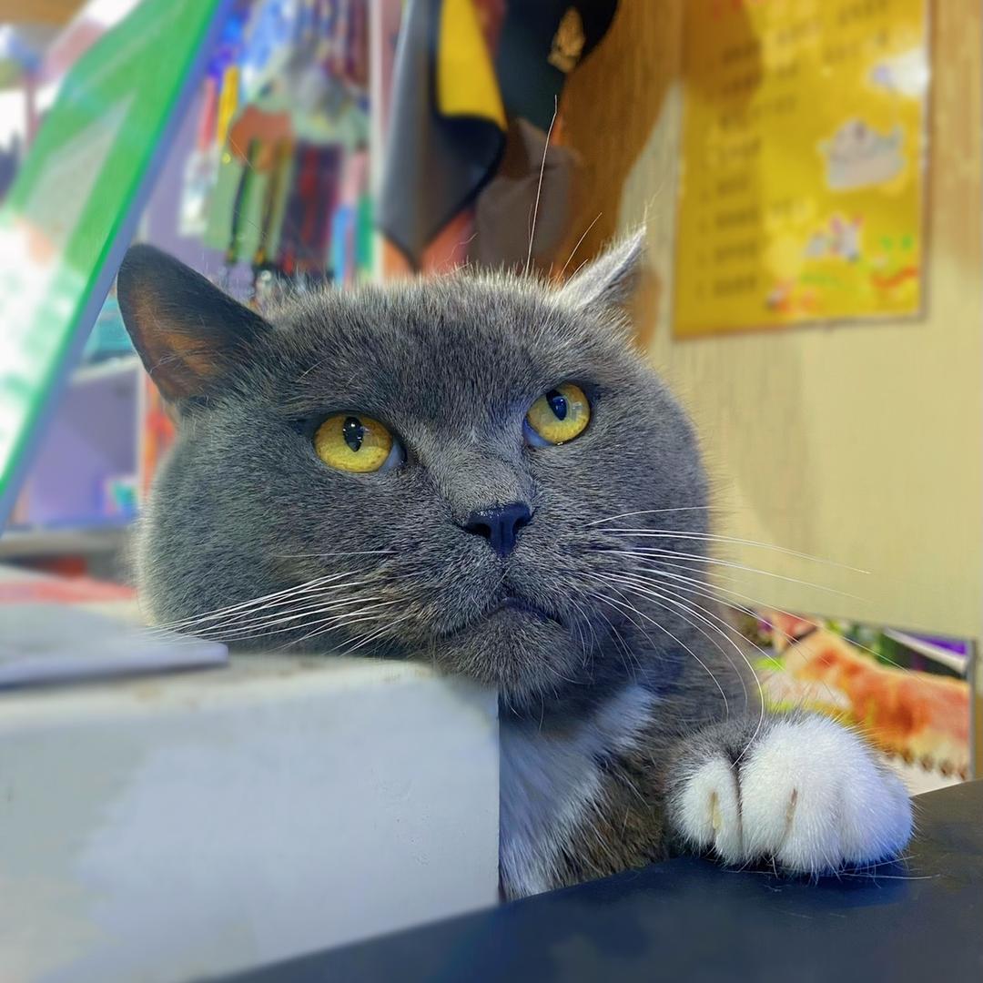 浦江县牧物宠物用品店