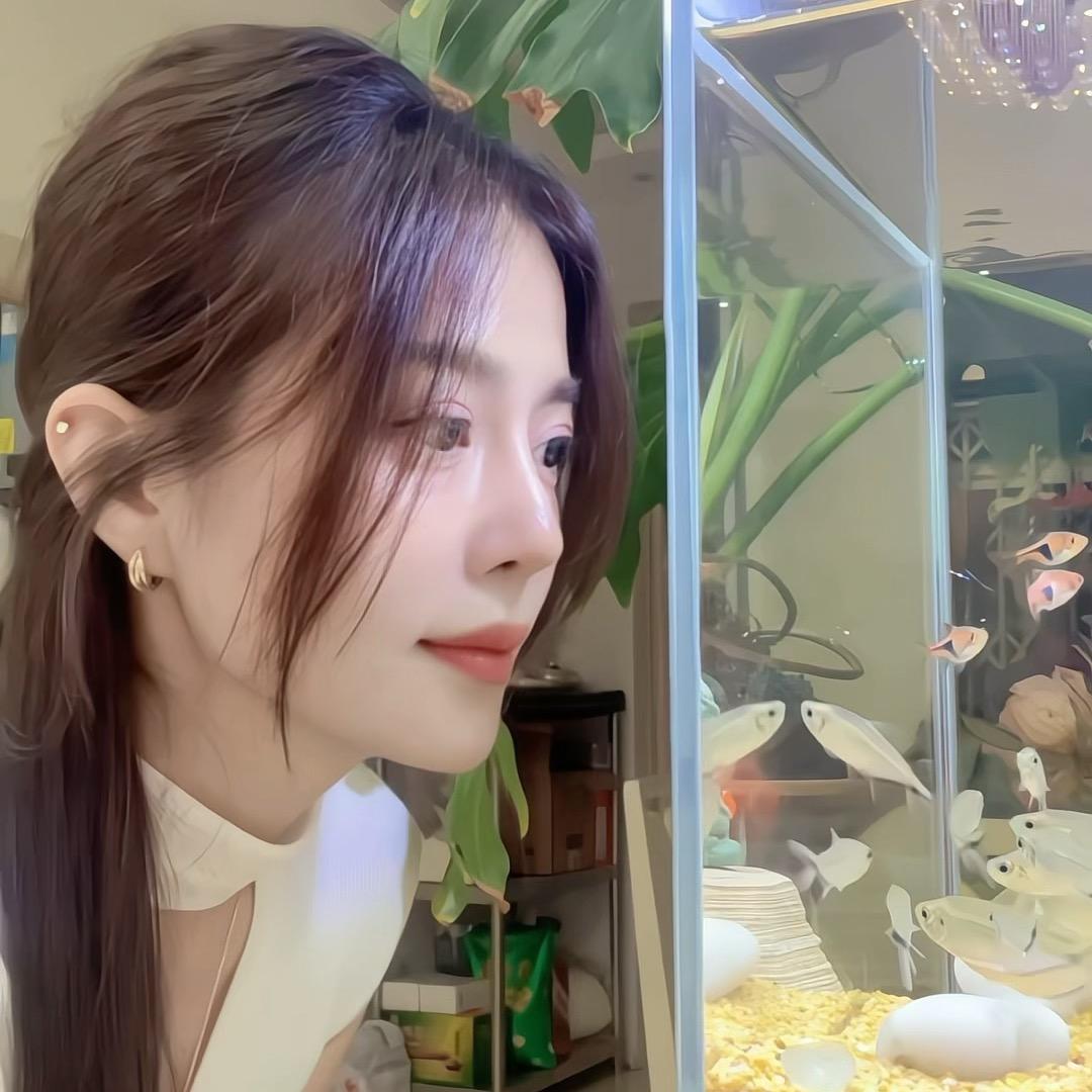 33🦋
