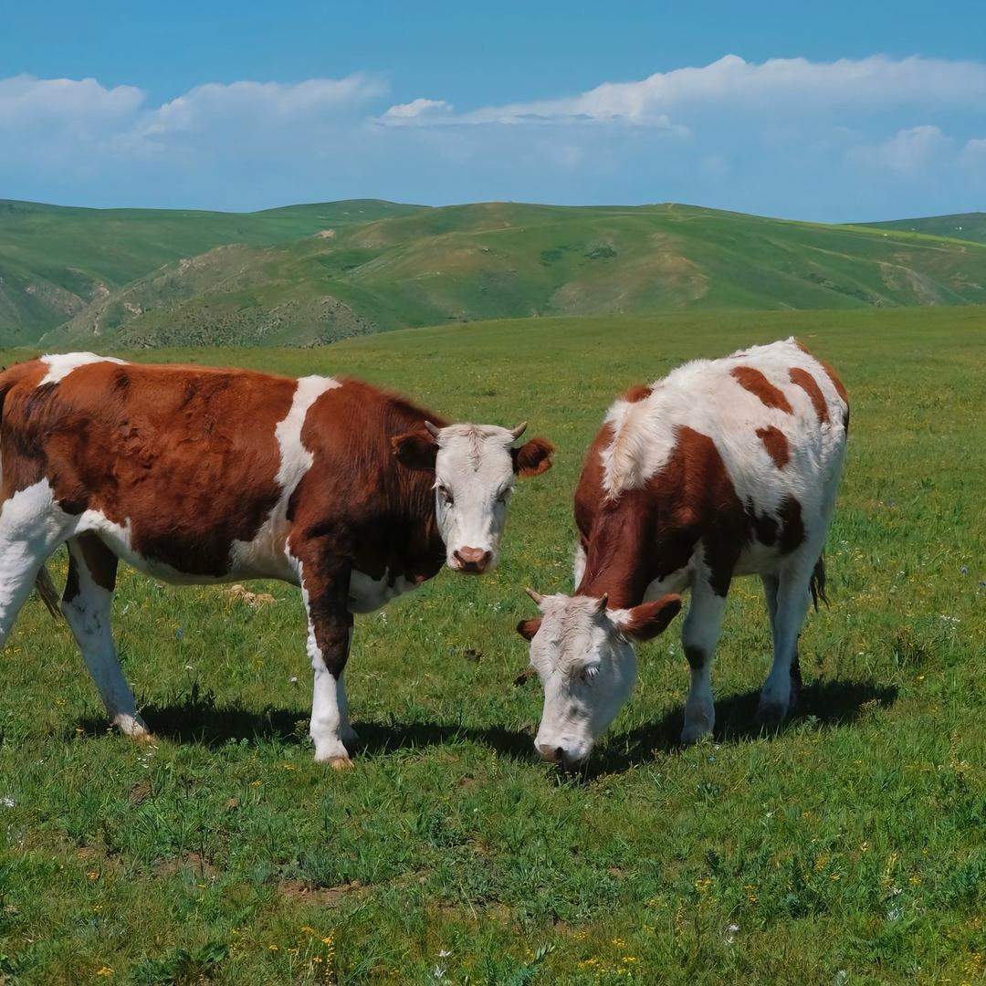 泓运站点孟站长