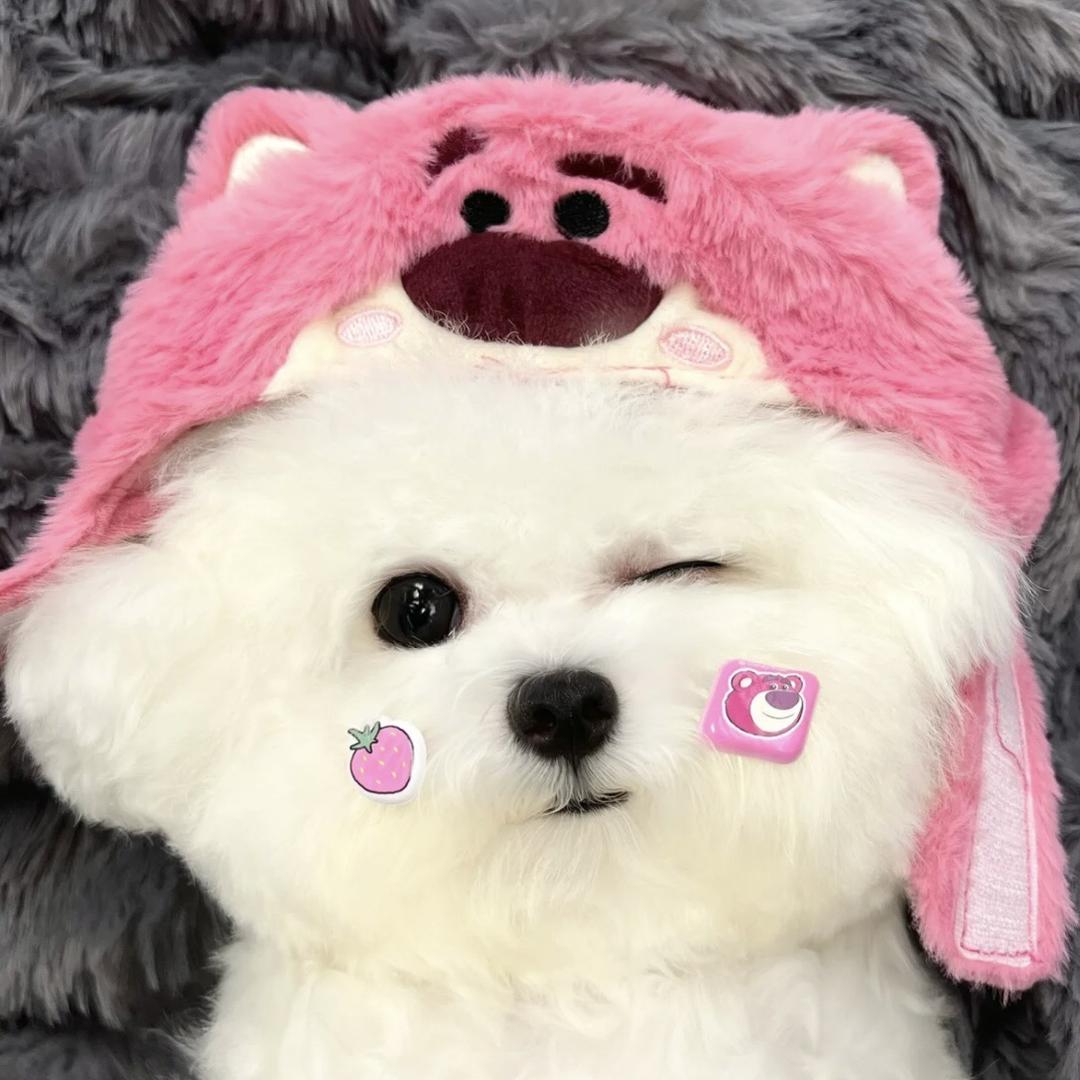 心碎小狗🐶