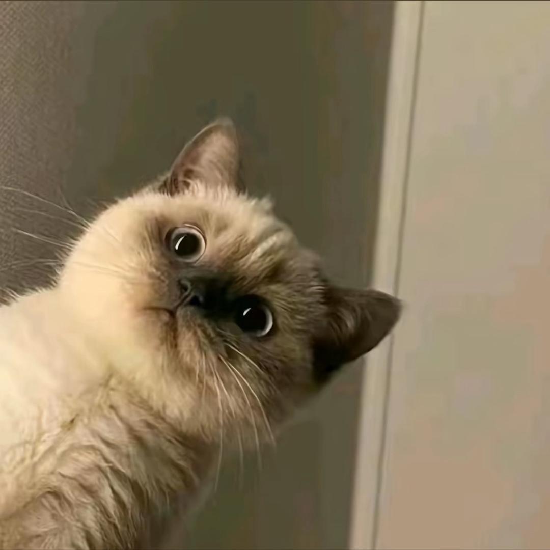 羊羊的ᵈpp