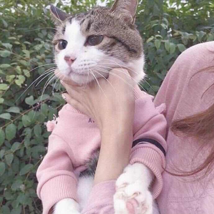 路明非_CC