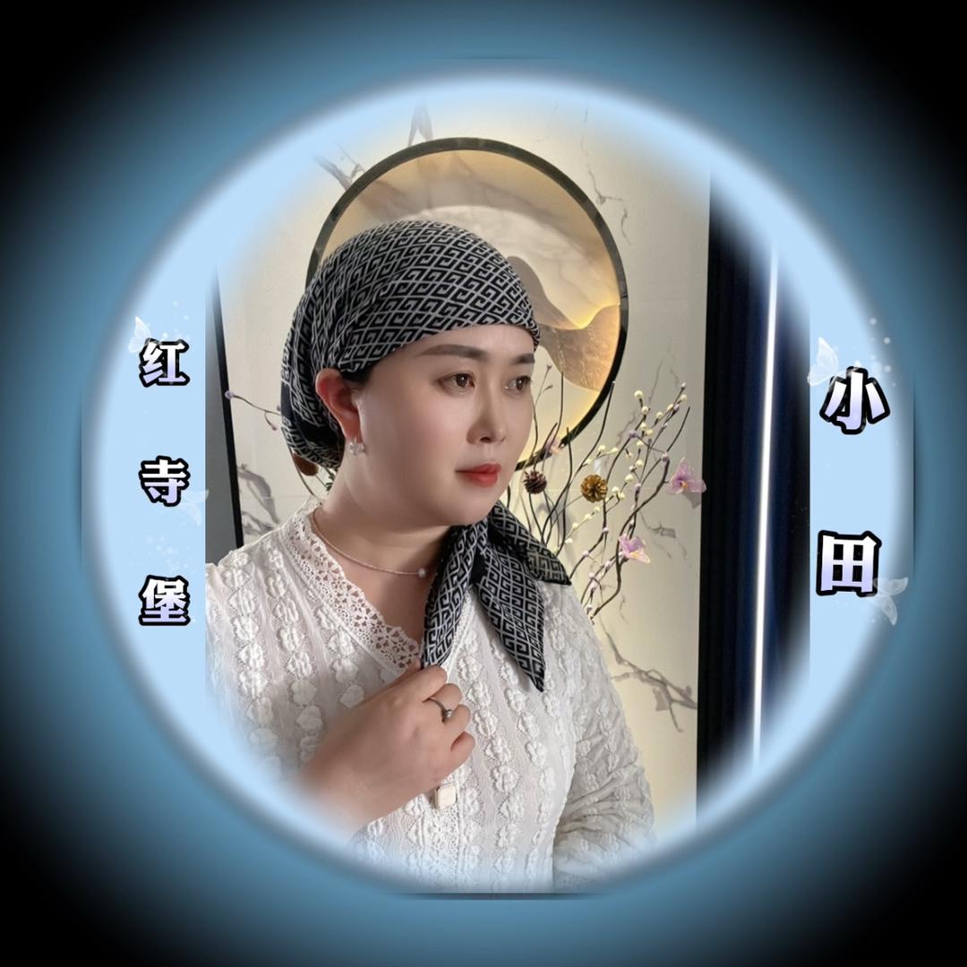 宁夏红寺堡小田