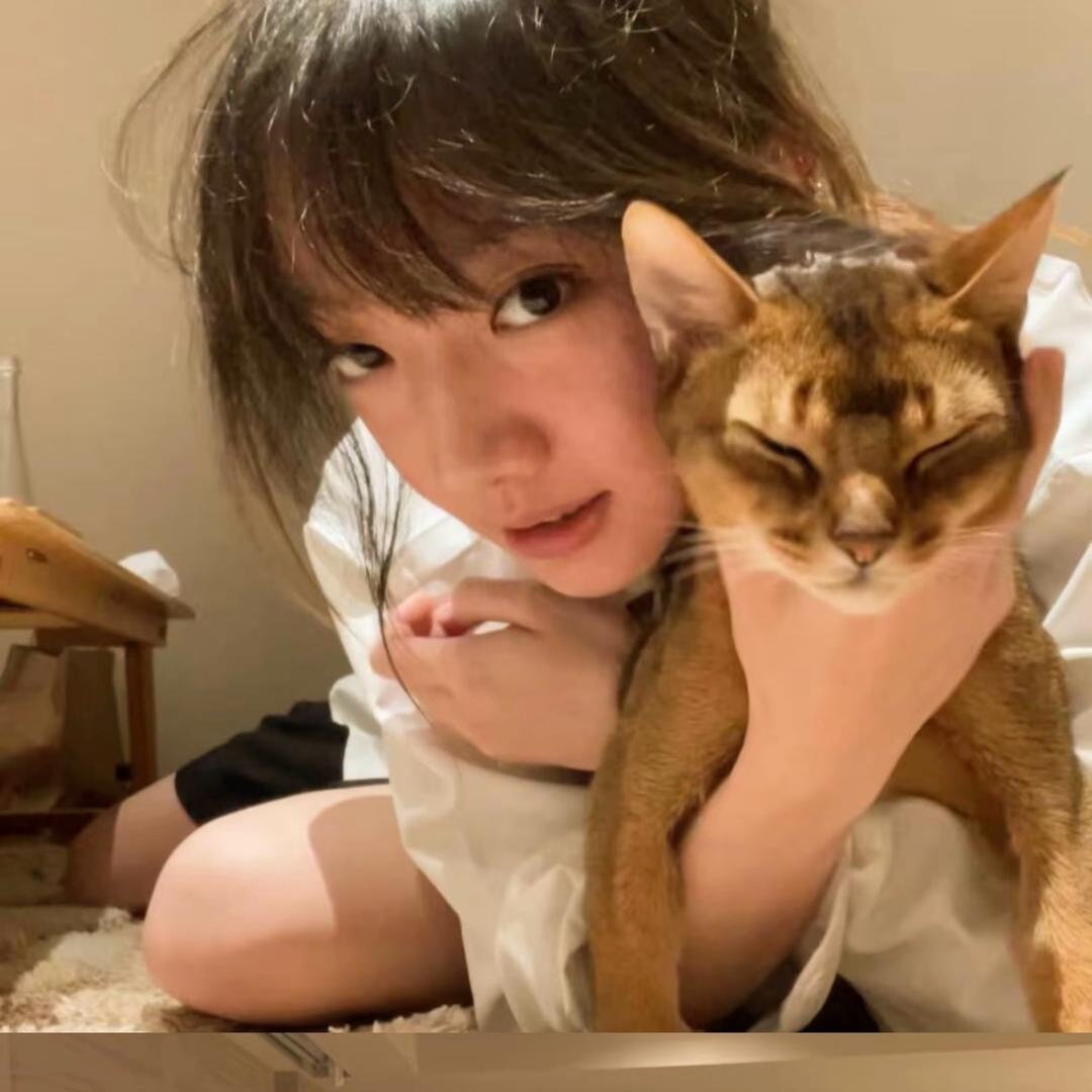1只猫