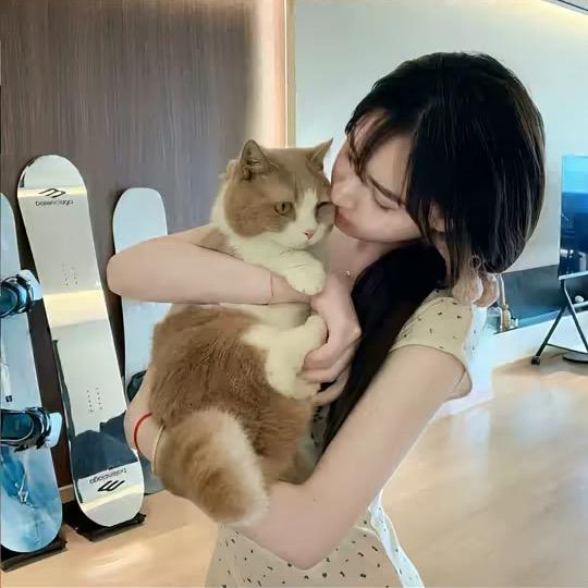 =^_^=.