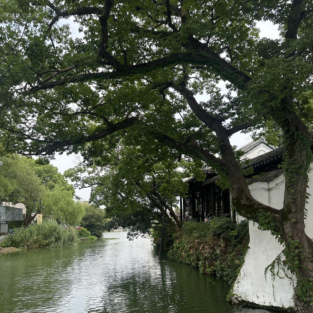 飞飞教练咨询服务