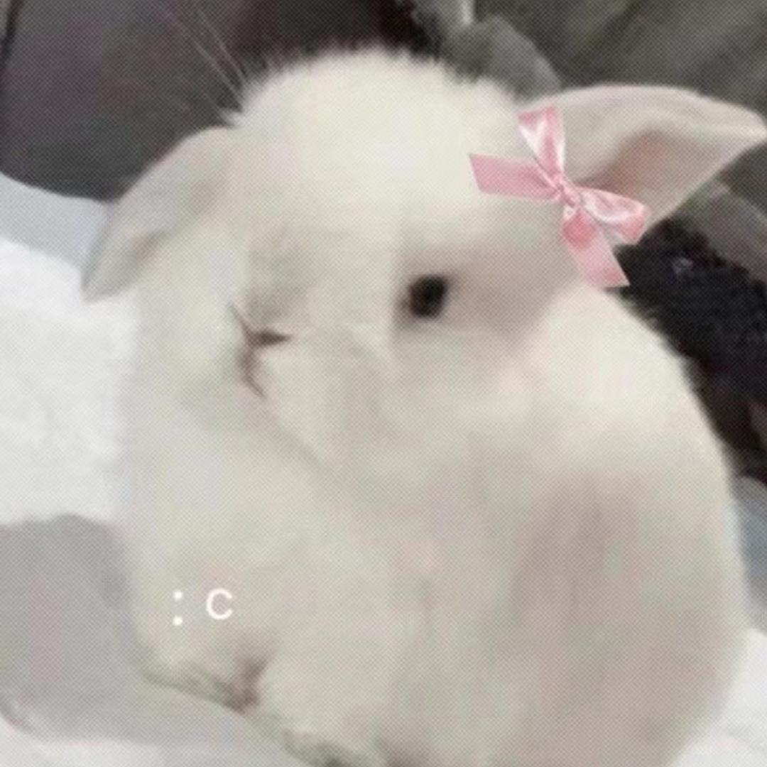 凉拌小葵