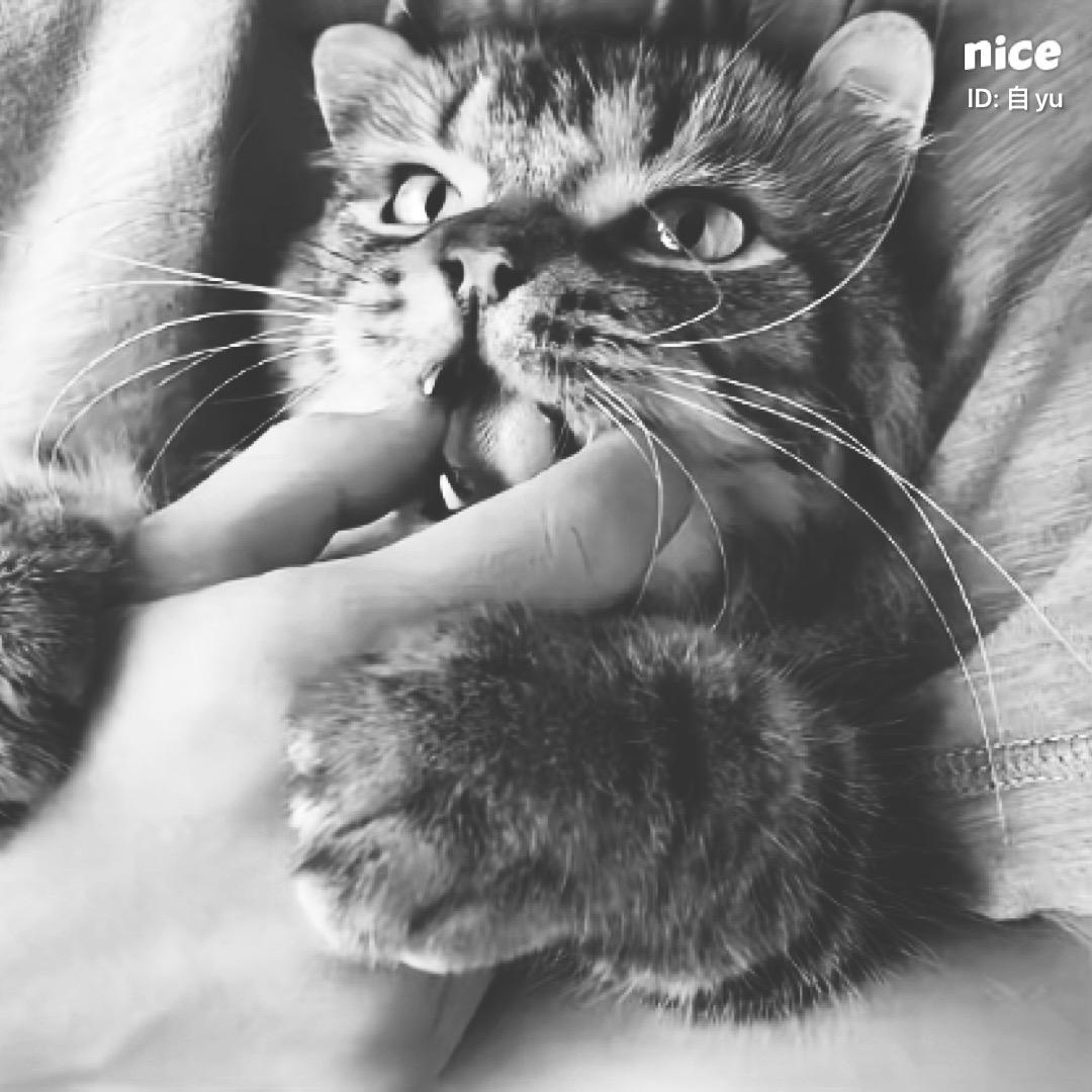痛苦、🖤