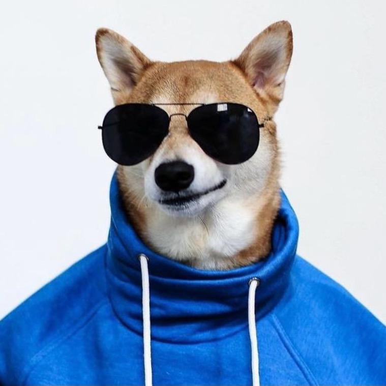 9567