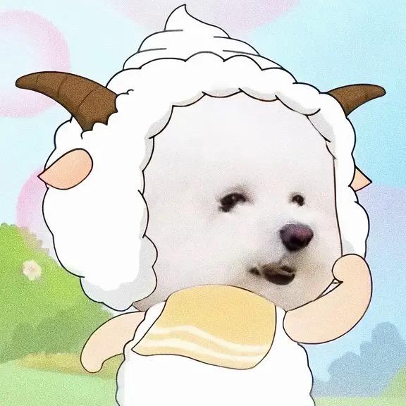 金no日记