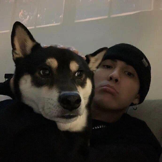 起风了