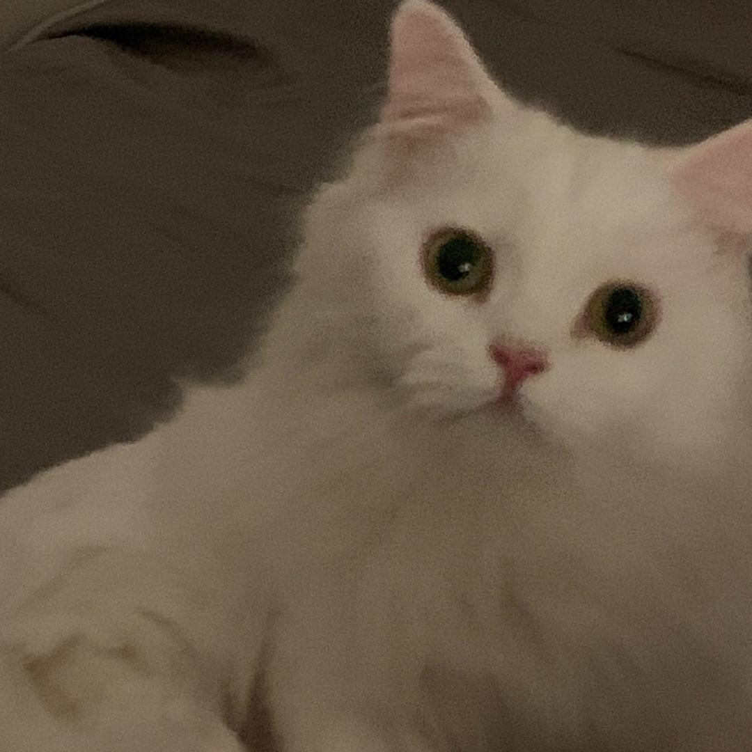 娜唔🐰