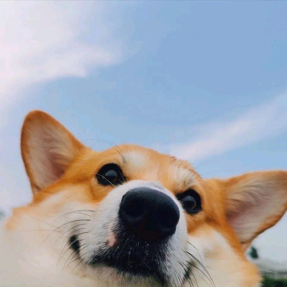 够了三角洲跑刀(24h营业)