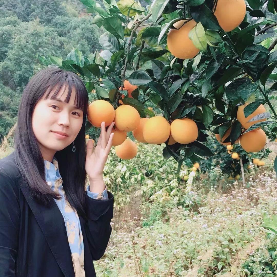 飞扬老妈妈赣南脐橙