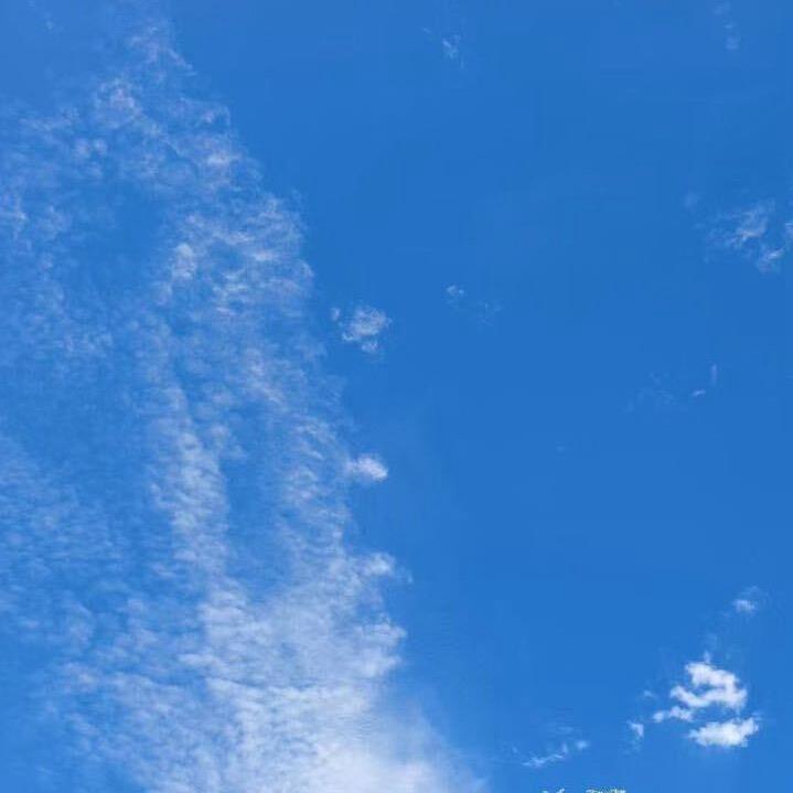 墨墨达