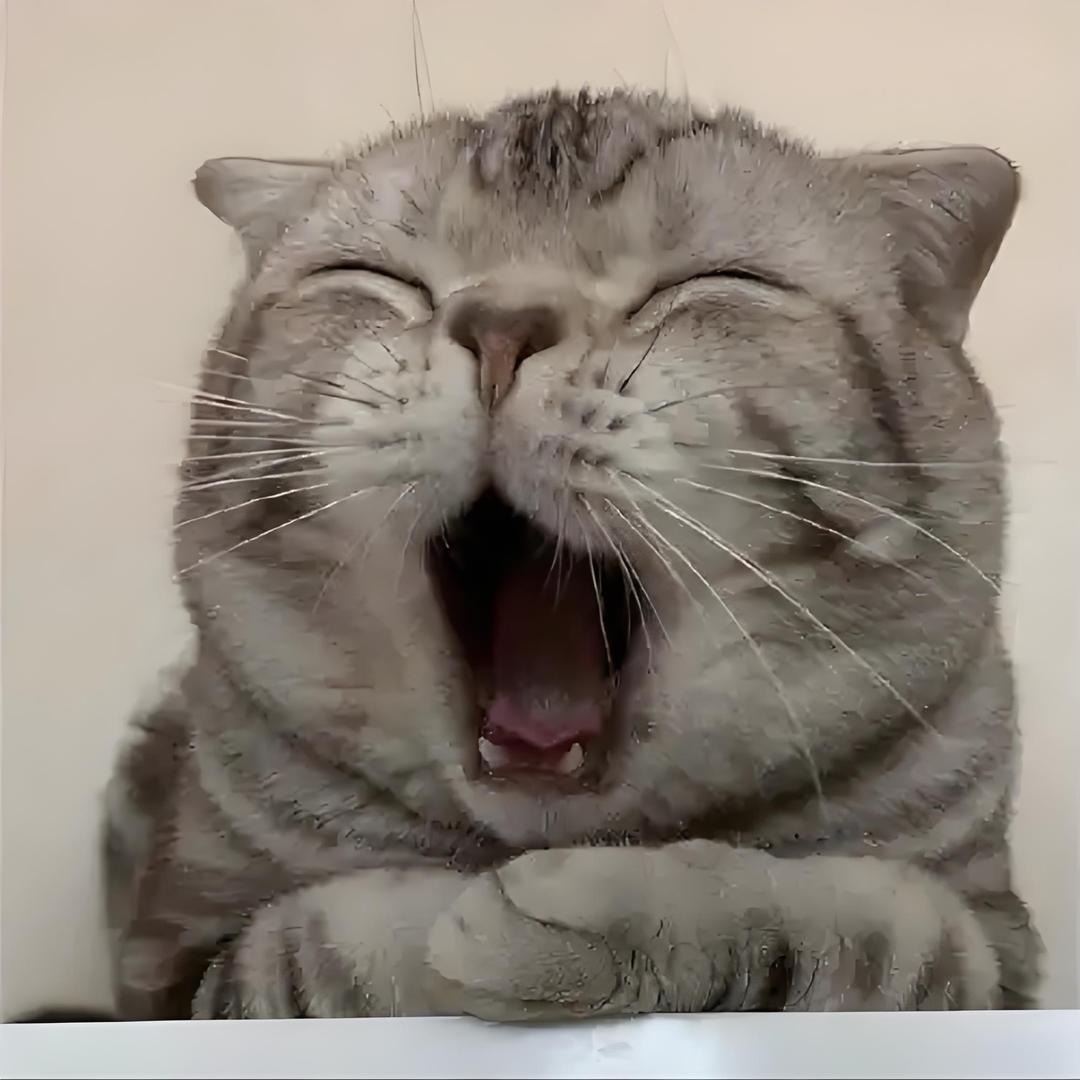 欭惗