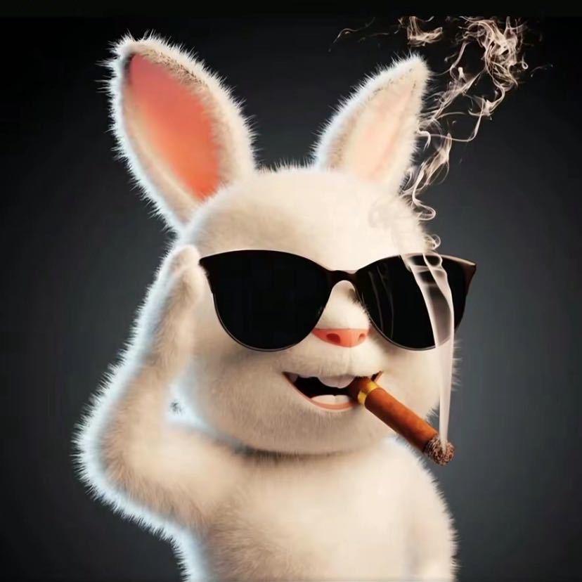 肥不溜秋🐰