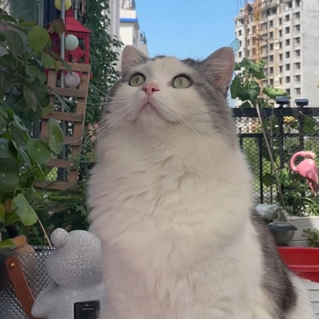 小玖日记