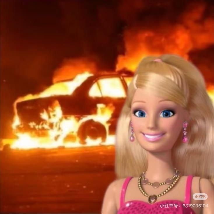 经常砂仁的朋友都知道