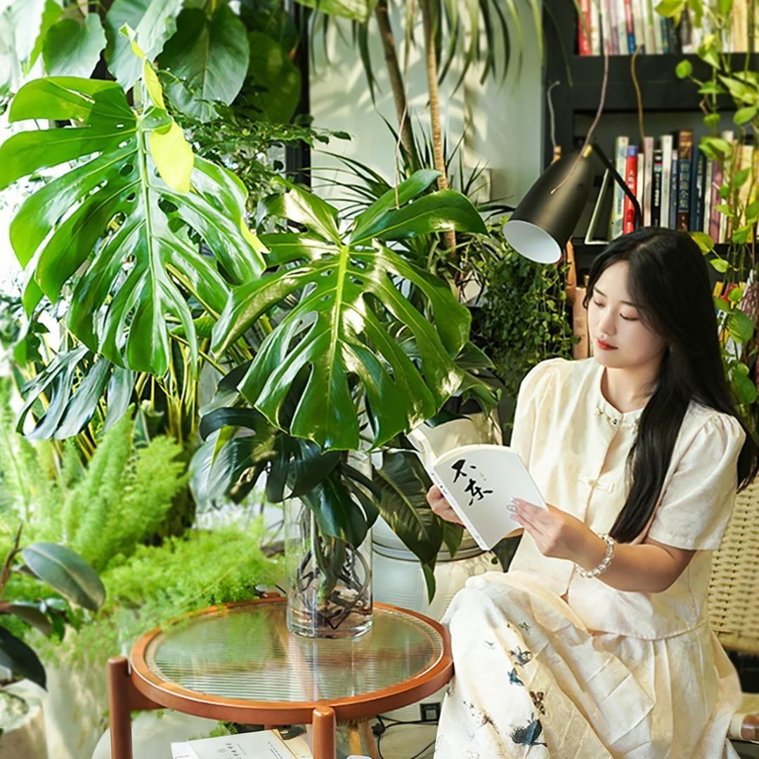 爱优尚园艺绿植专卖店铺