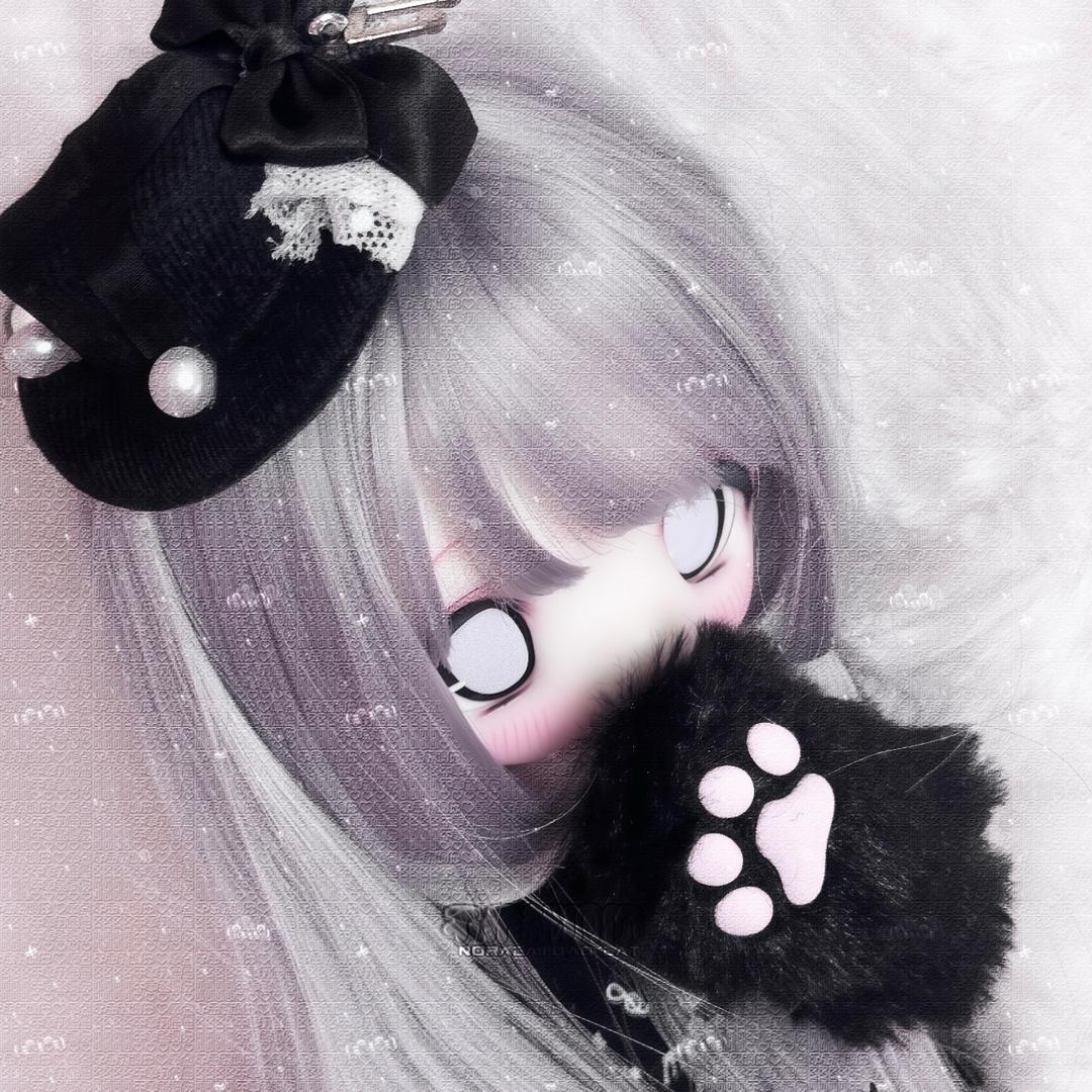 野良猫🐾