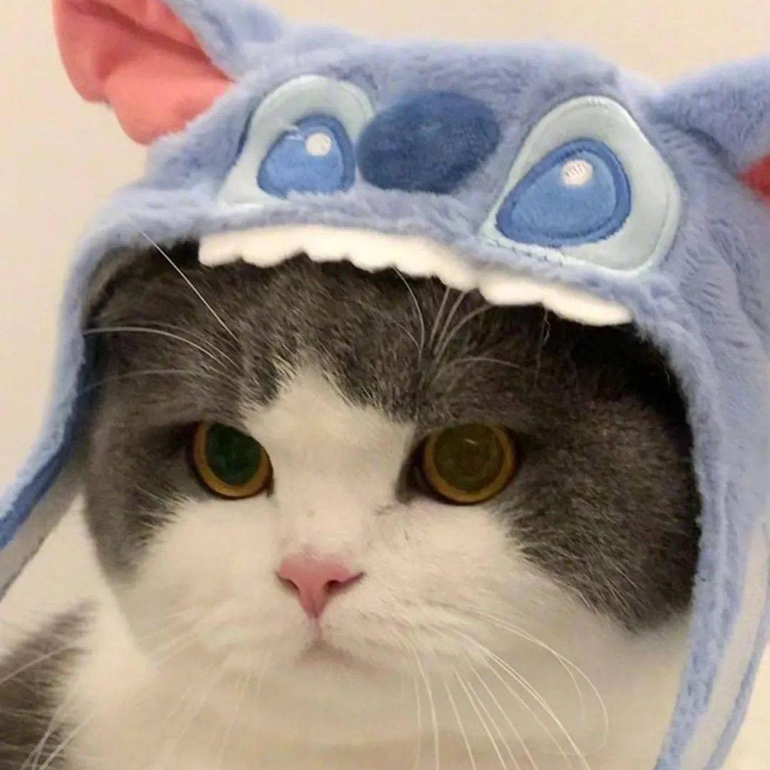 😘ꕥ᭄暮沉ঞ😘