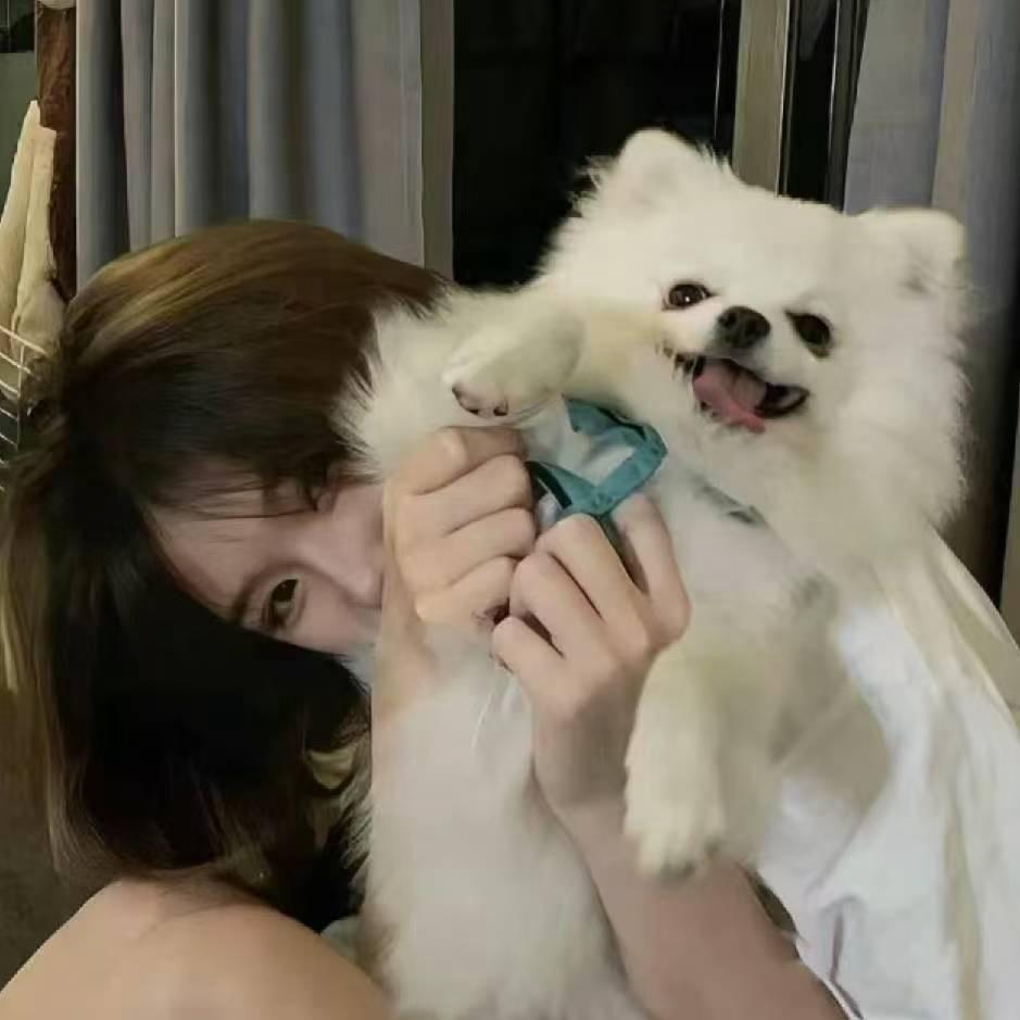 Puppy🐩