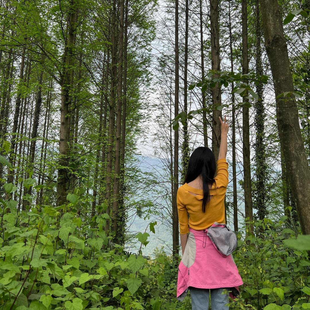 成都慢团团