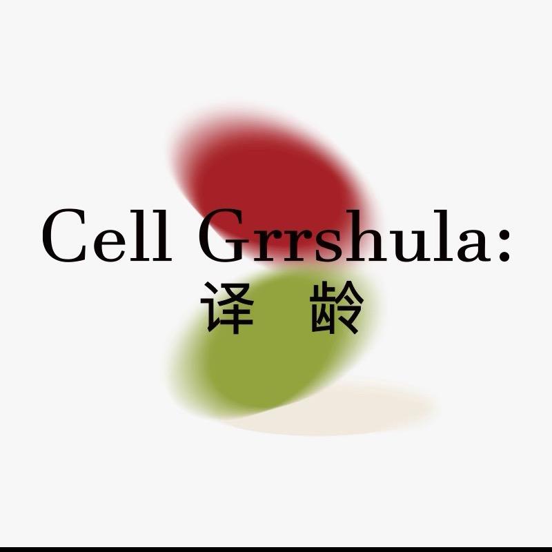译龄官方旗舰店直播