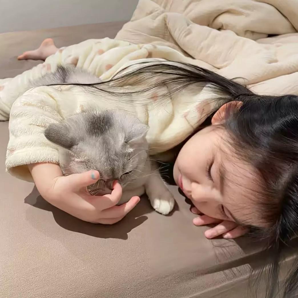 土豆泥^
