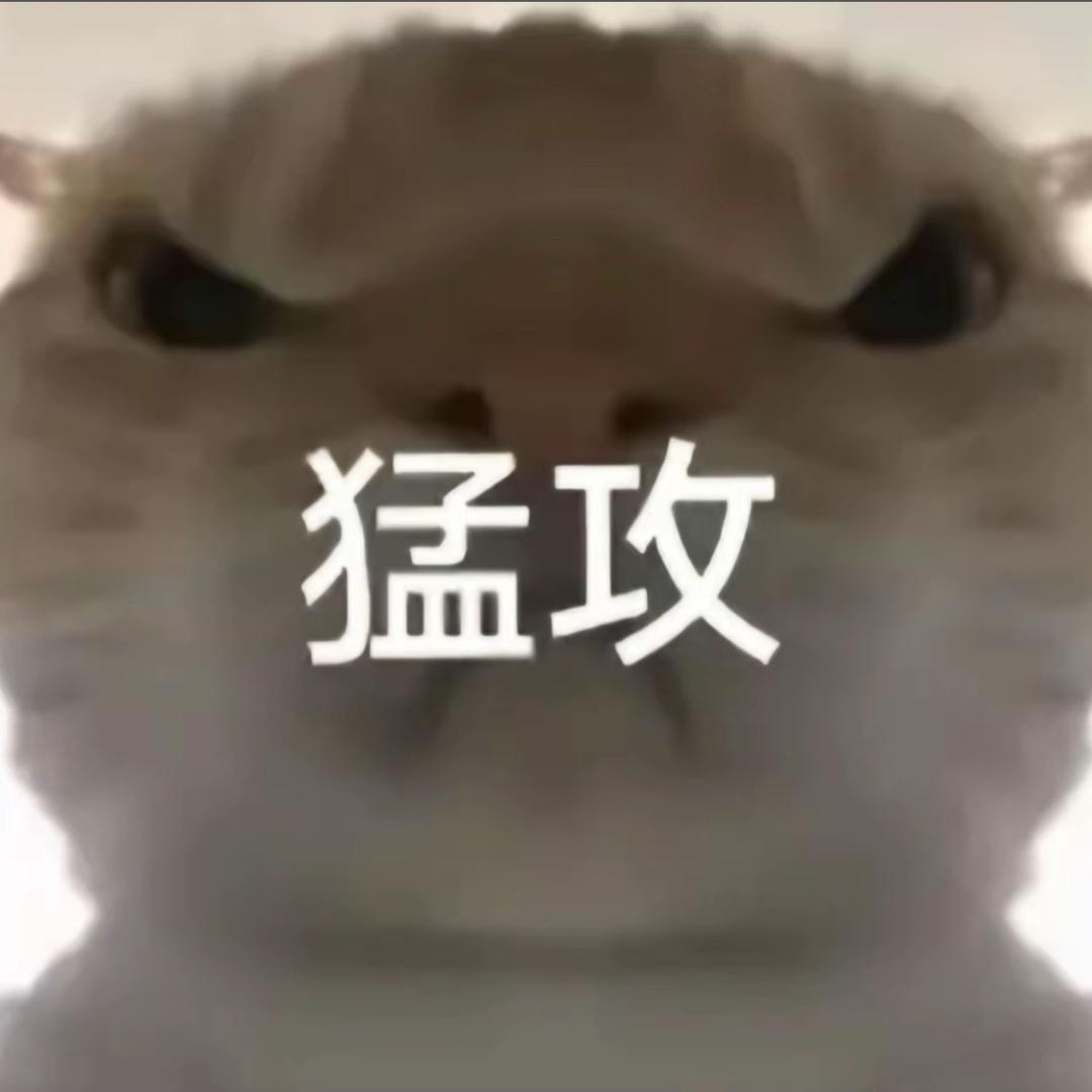 M馍馍（三角洲行动）