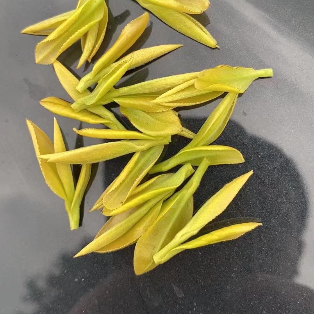晓容茶坊