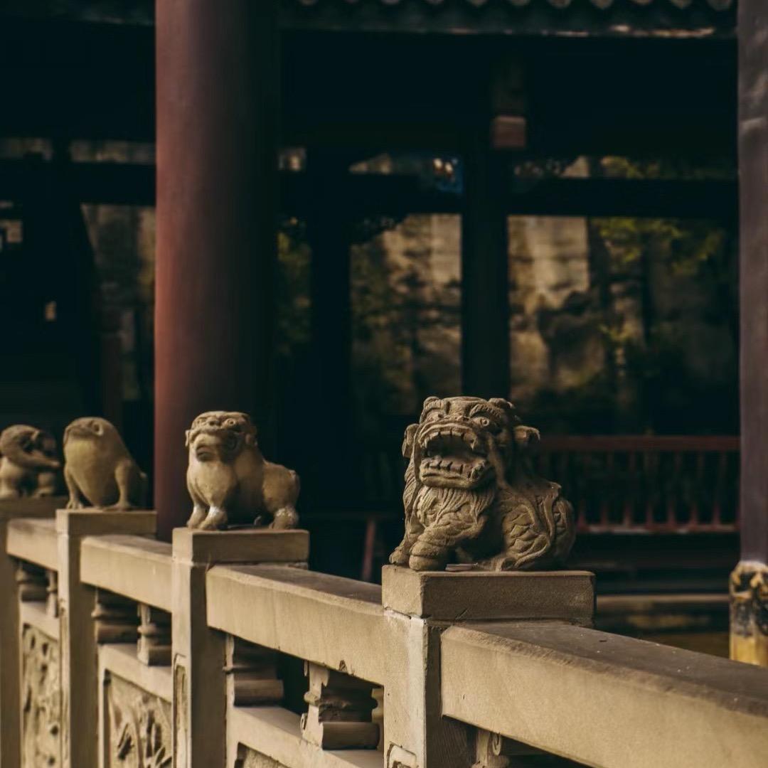 飞雪师兄