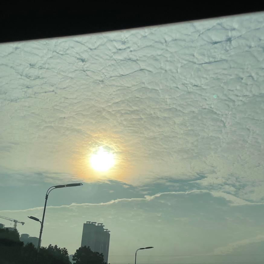 言她.