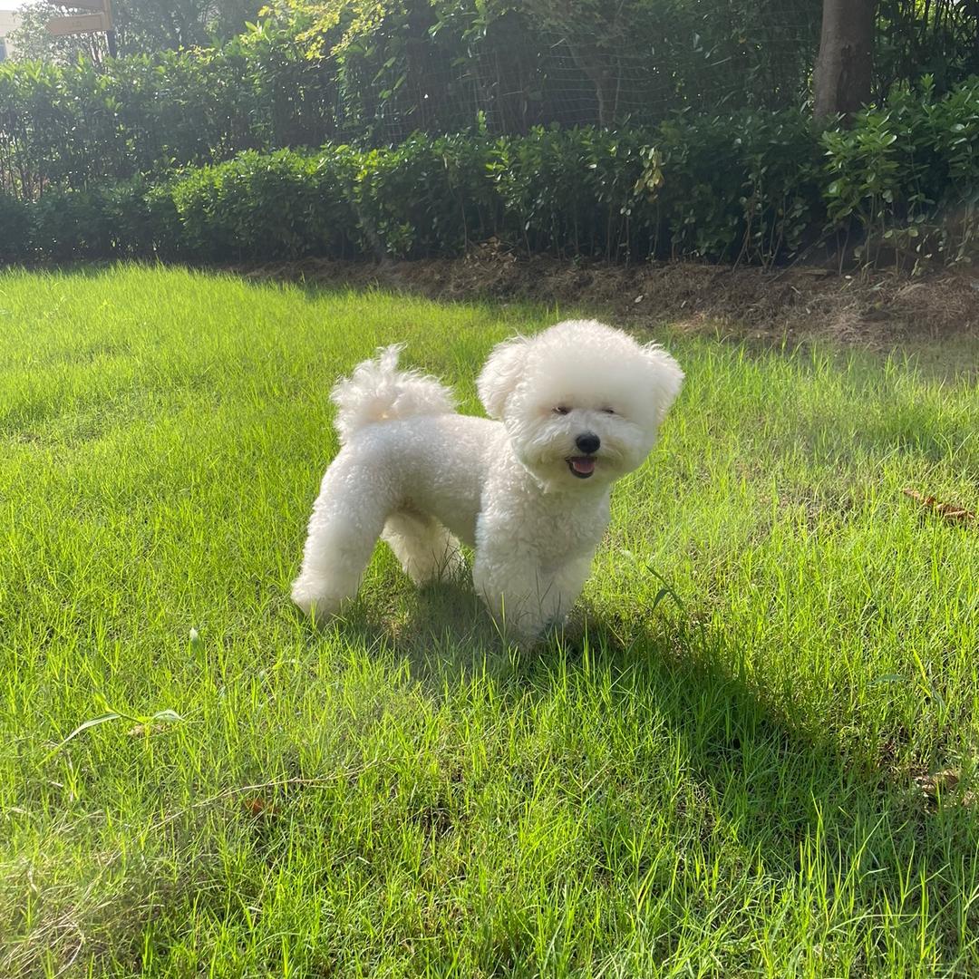么哒小宝