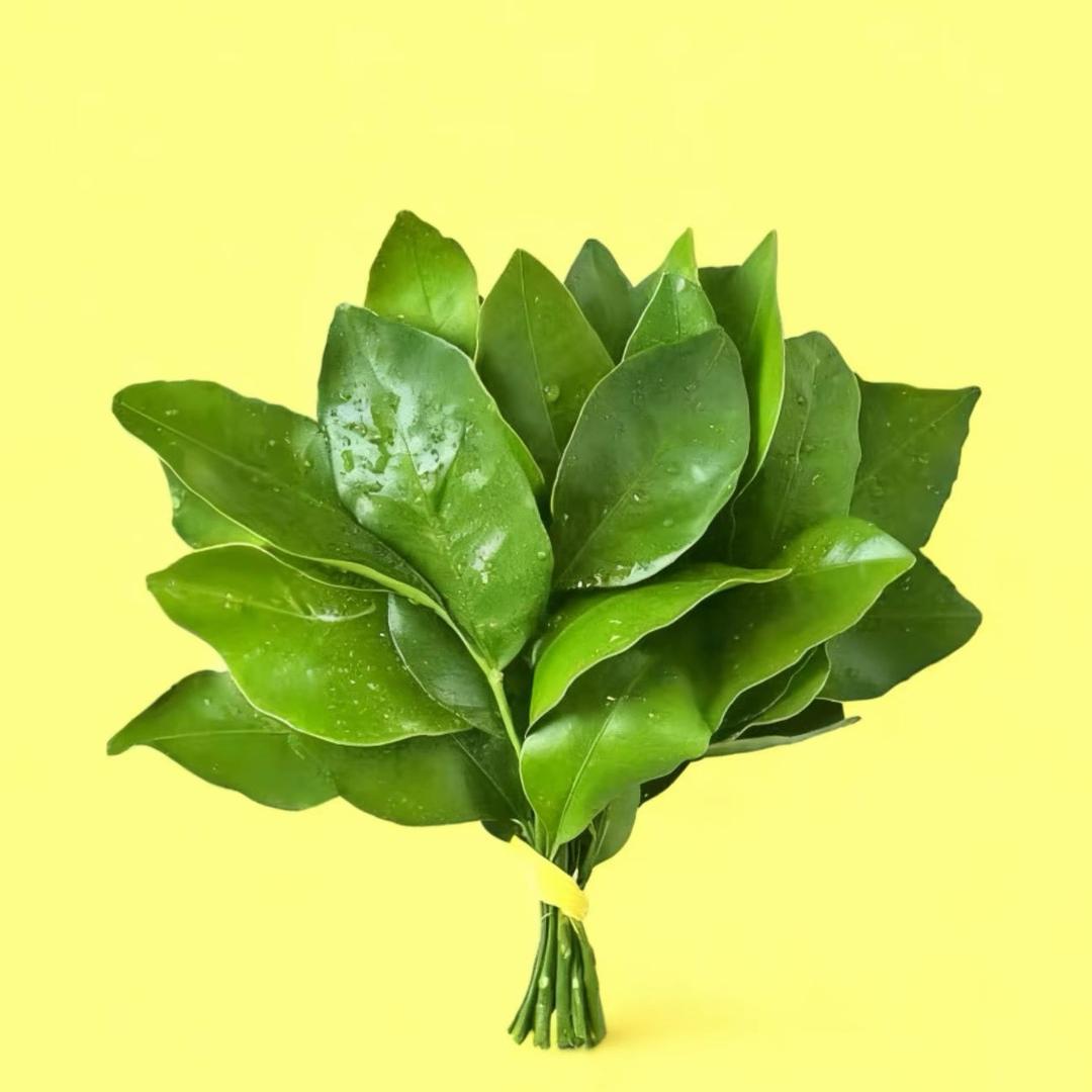 小土豆🥔