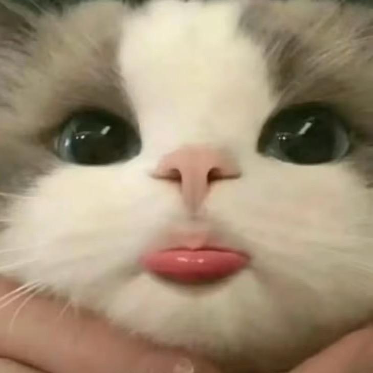 记的说晚安