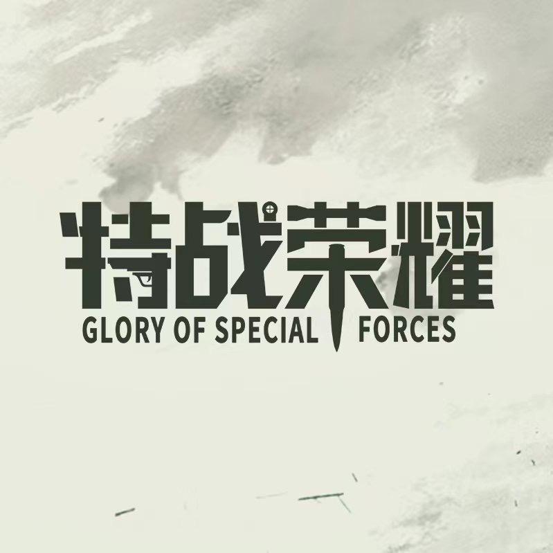 电视剧特战荣耀