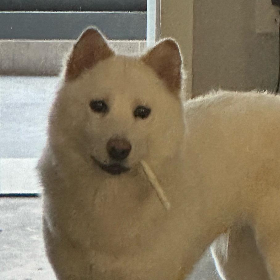 富贵得吃啦