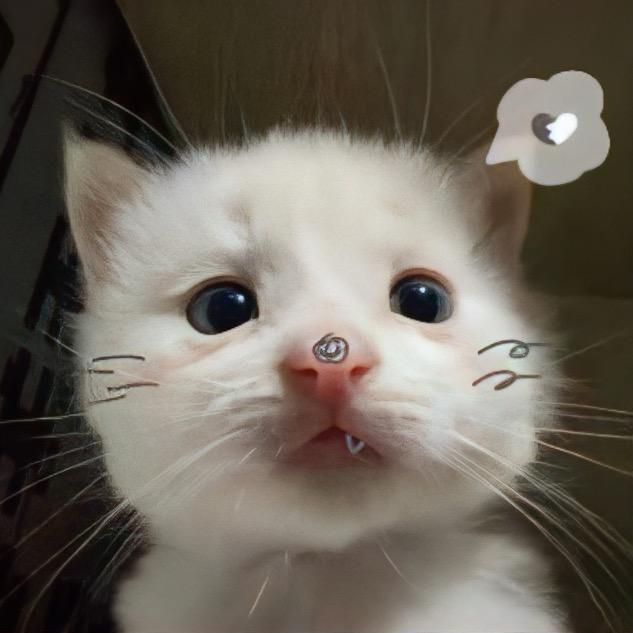 人类只是我的兼职