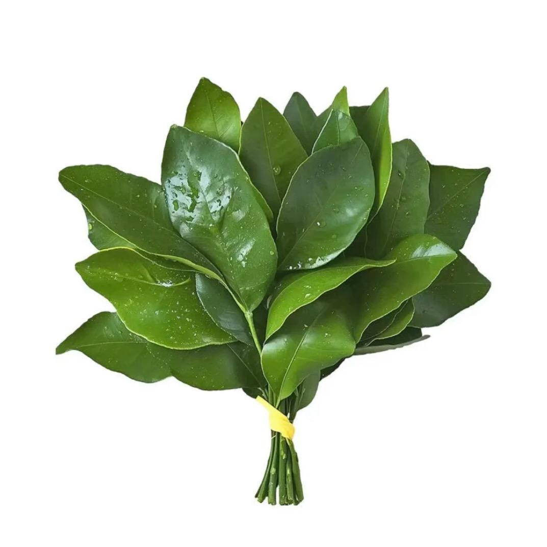 Aal