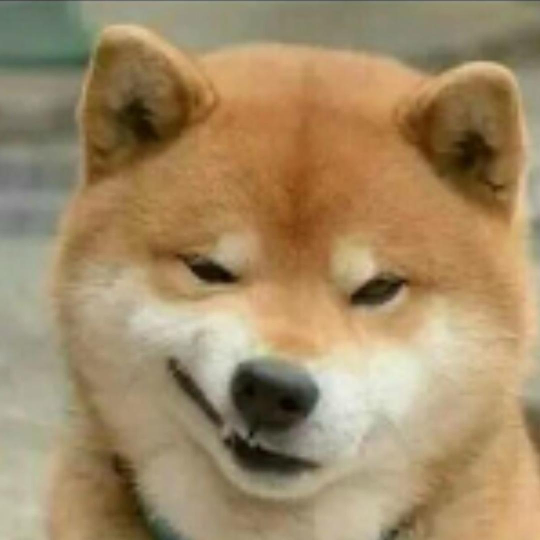 你还怕大雨吗