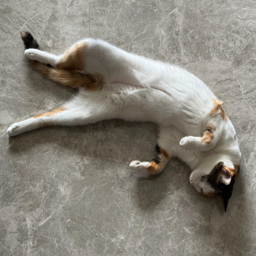 江山（戈壁滩电竞考核）