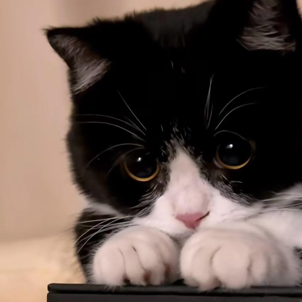 南师泰阿耀学姐