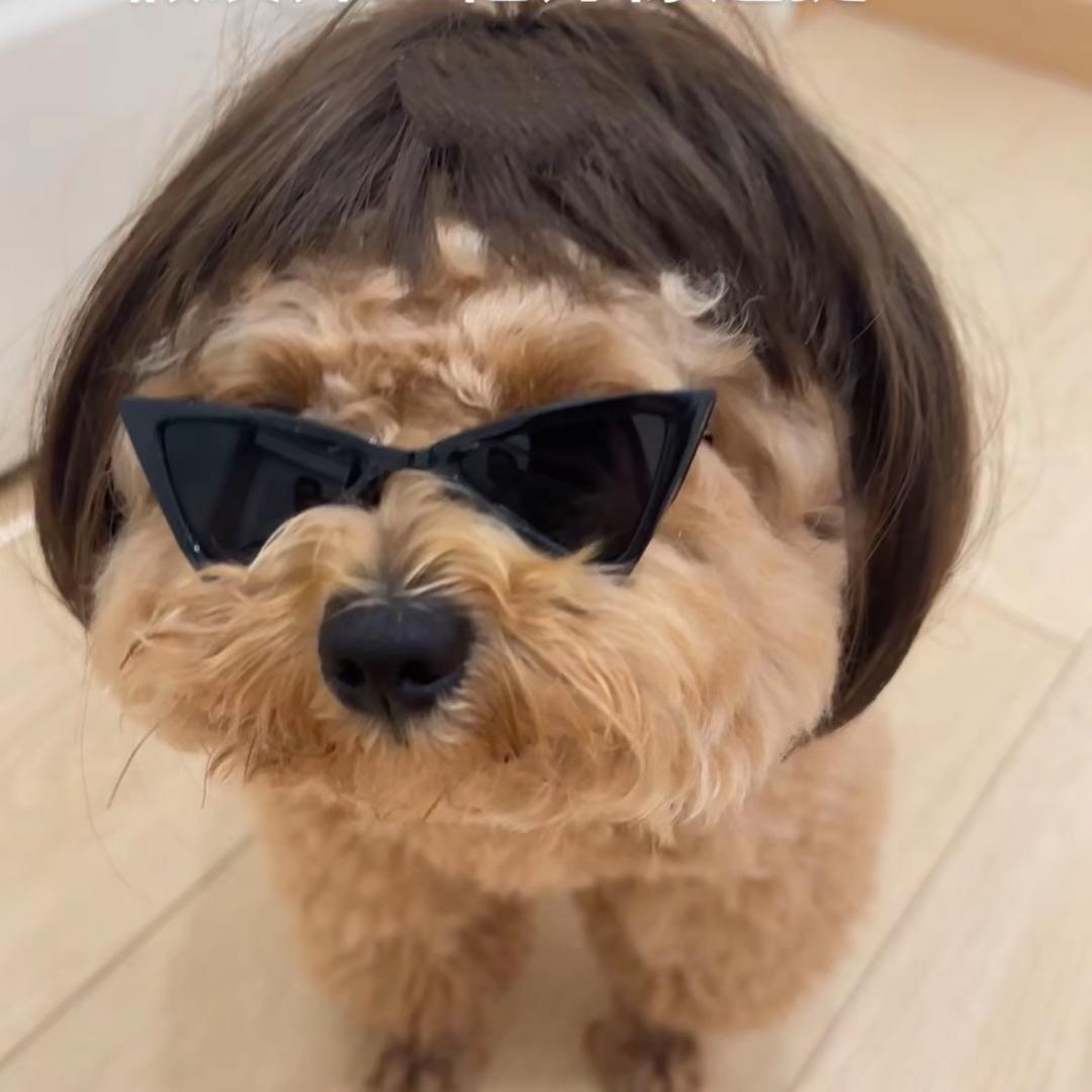 嘿妹儿
