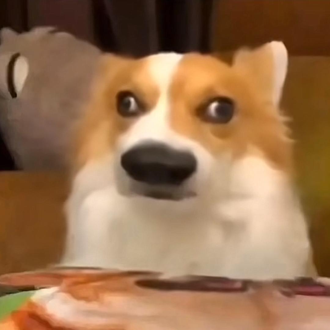 任梓豪