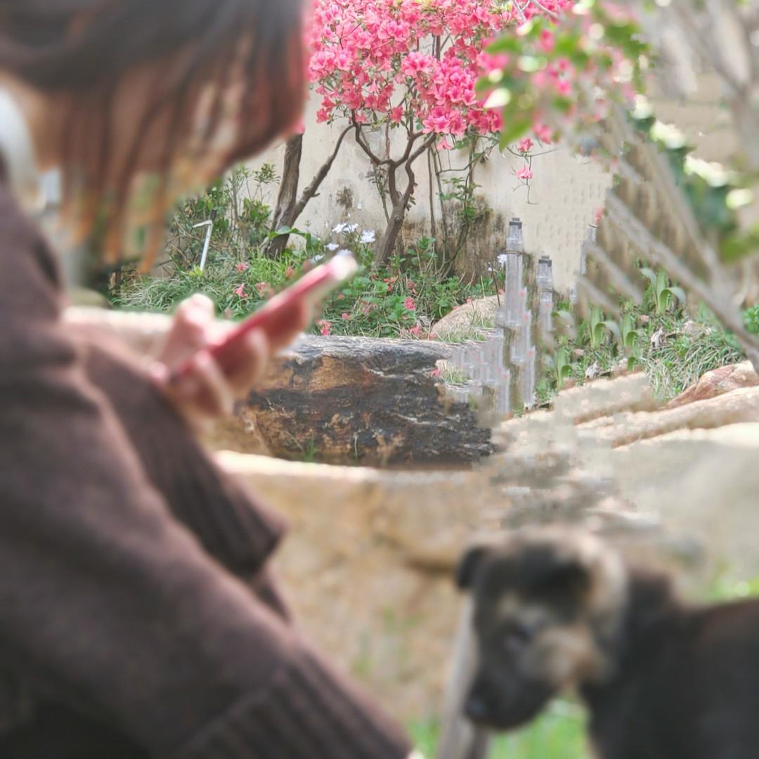 李李小院子